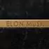 Надпись на подставке Elon Musk Tesla