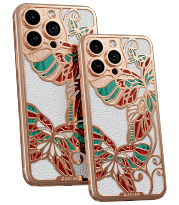 Кастом iPhone 17 Pro/Pro Max Дыхание Весны