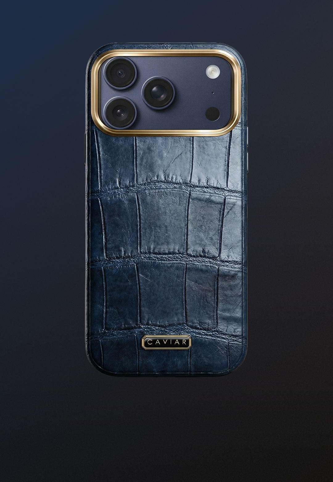 Чехол с синим корпусом Версаль