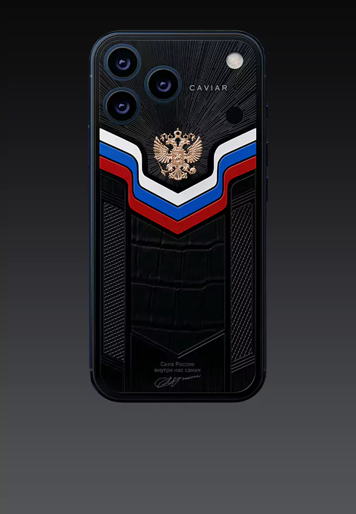 Идея модели Говорит Президент