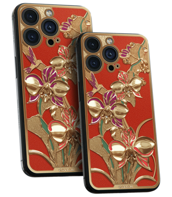 Кастом iPhone 17 Pro/Pro Max Колибри и Орхидея