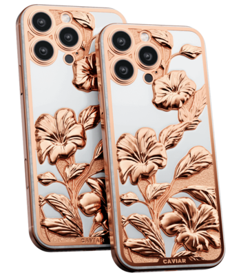 Кастом iPhone 17 Pro/Pro Max Багамы