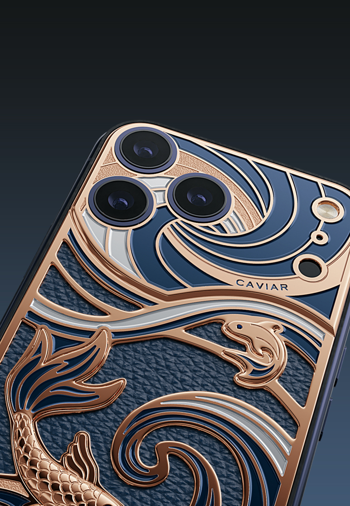 Блок камер Goldfish